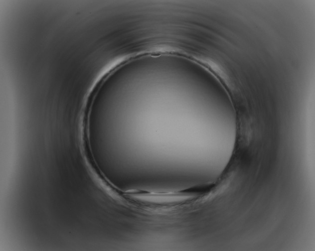 X0000088211134200705221738
