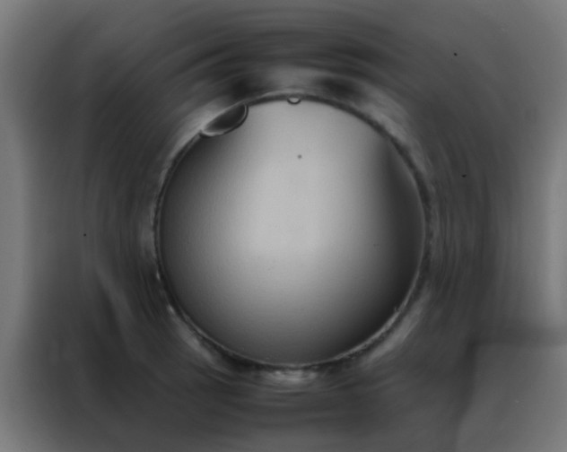 X0000088211137200705221738