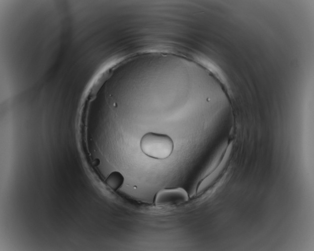 X0000088211138200705221738