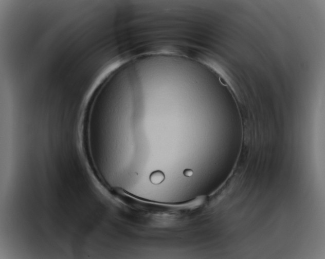 X0000088211139200705221738