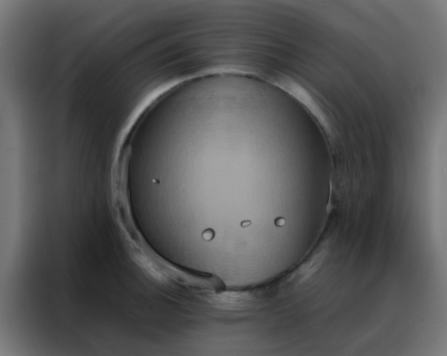 X0000088211140200705221738
