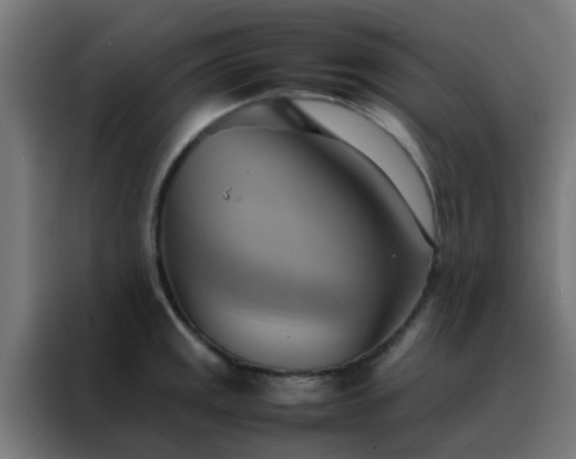 X0000088211141200705221738