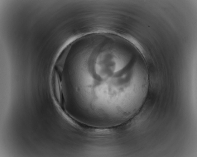 X0000088211142200705221738