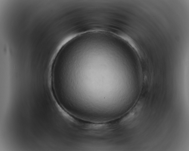 X0000088211143200705221738