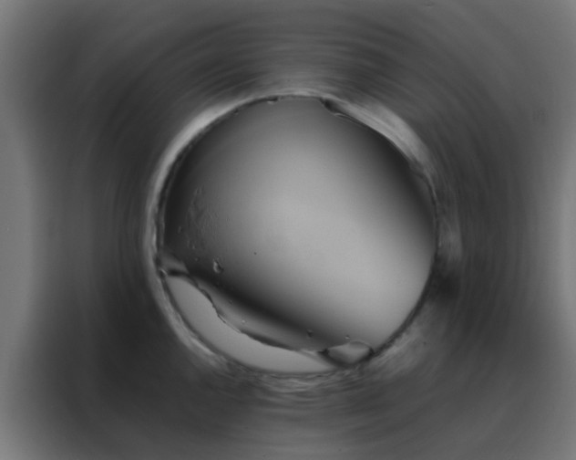 X0000088211144200705221738