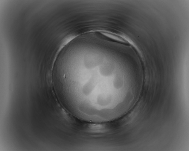 X0000088211145200705221738