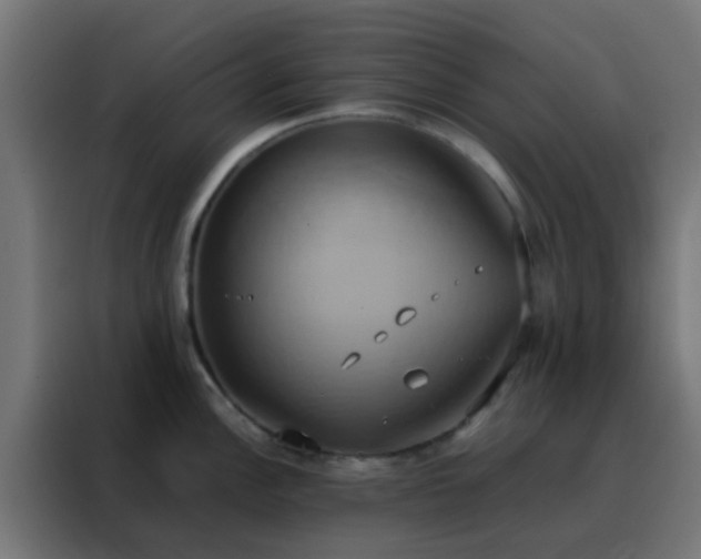 X0000088211148200705221738