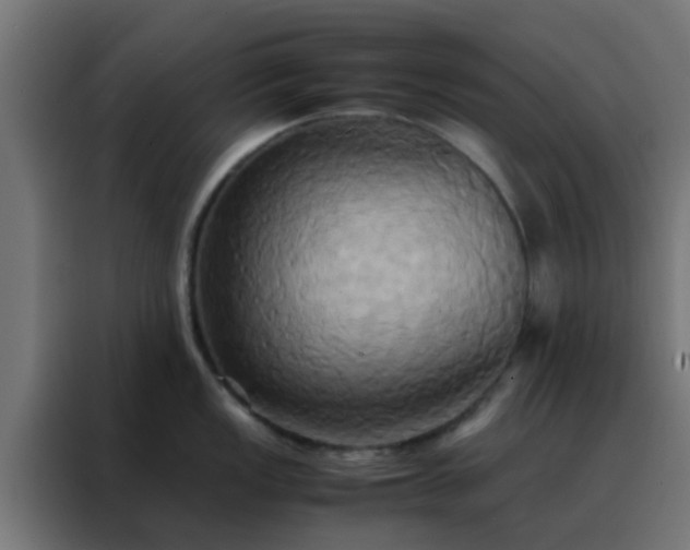 X0000088211149200705221738
