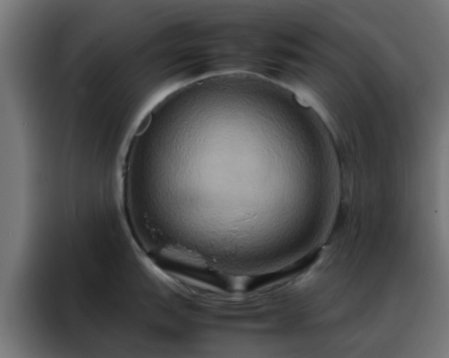X0000088211151200705221738