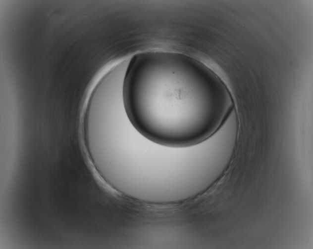 X0000088211152200705221738