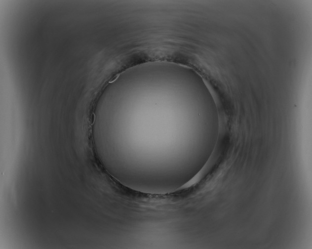 X0000088211153200705221738