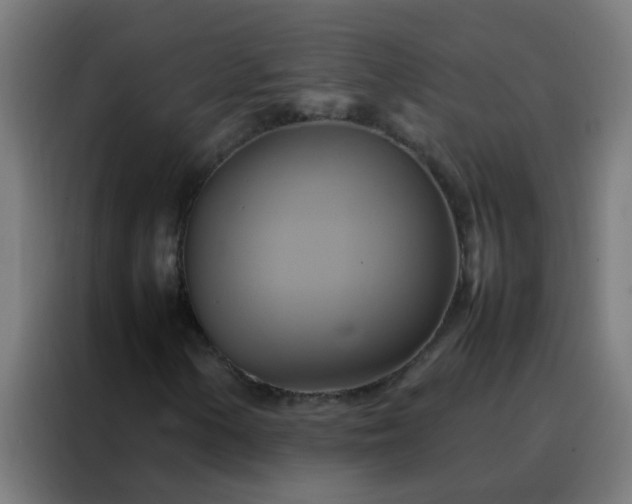 X0000088211154200705221738