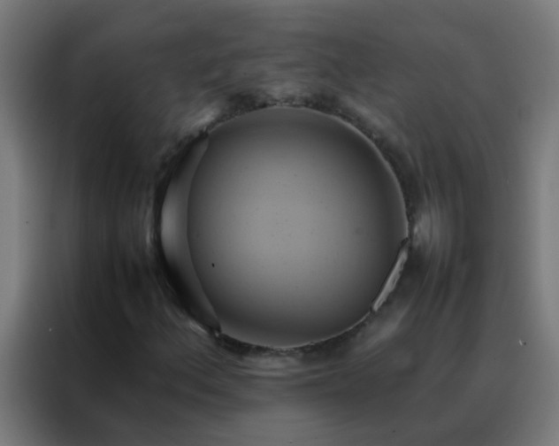 X0000088211156200705221738