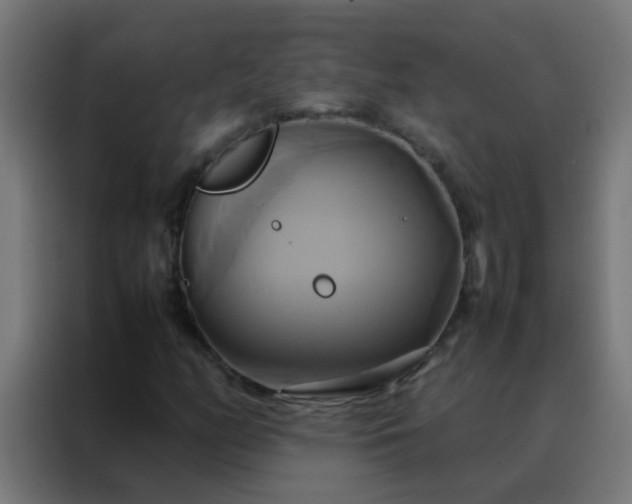 X0000088211158200705221737