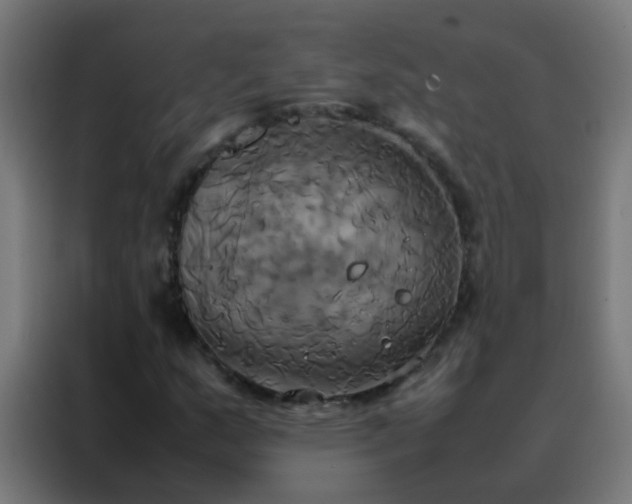 X0000088211159200705221737