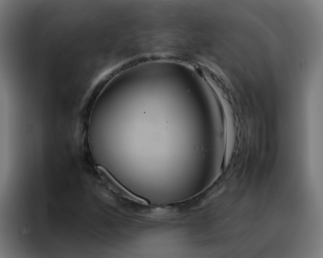 X0000088211160200705221737