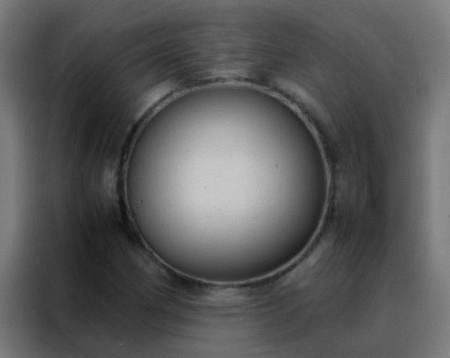 X0000088211162200705221737