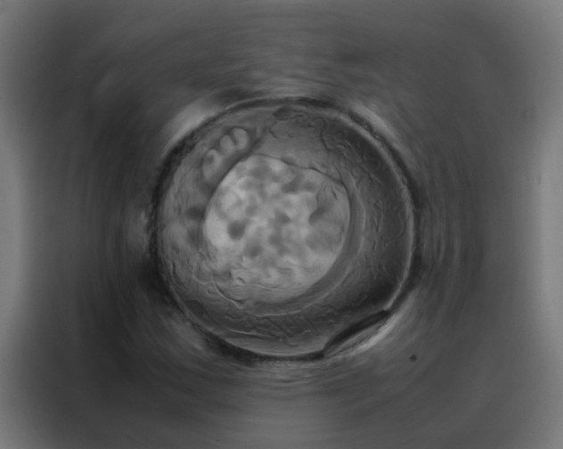 X0000088211163200705221737