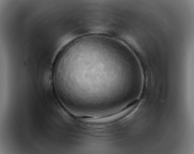 X0000088211164200705221737