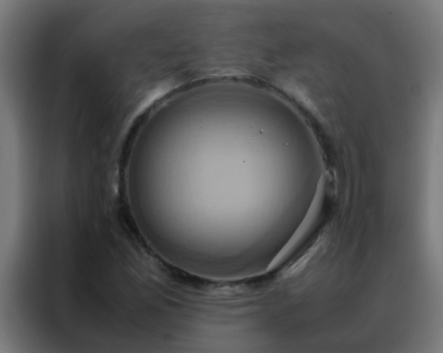 X0000088211165200705221737