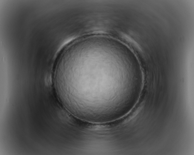 X0000088211166200705221737