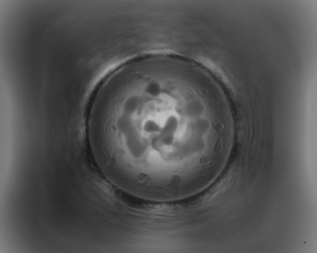 X0000088211167200705221737