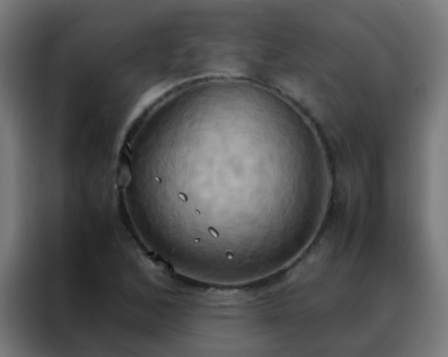 X0000088211168200705221737