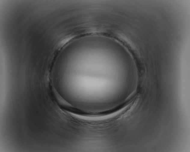 X0000088211169200705221737