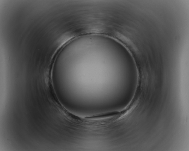X0000088211170200705221737
