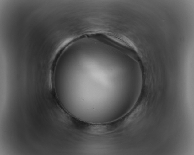 X0000088211171200705221737