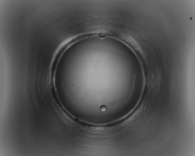X0000088211172200705221737
