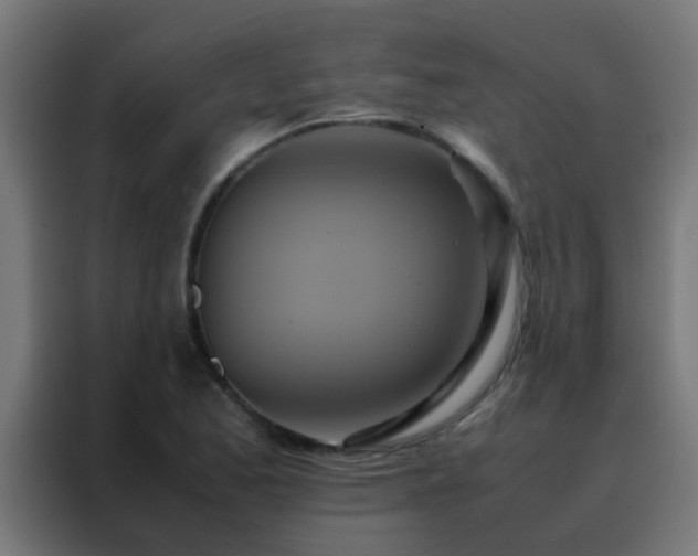 X0000088211173200705221737