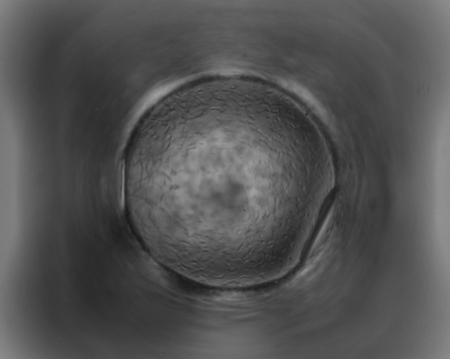X0000088211175200705221737