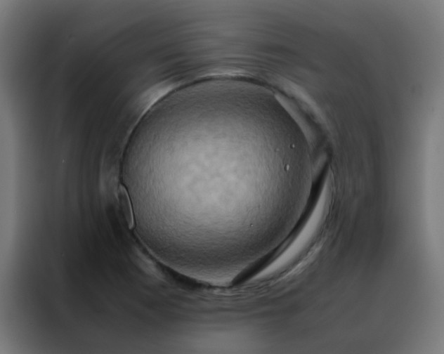 X0000088211177200705221737