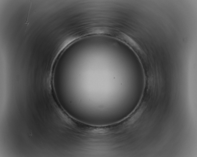 X0000088211178200705221737