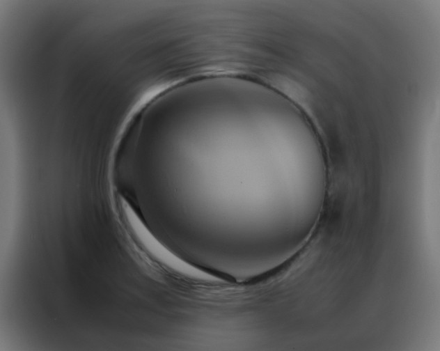 X0000088211179200705221737