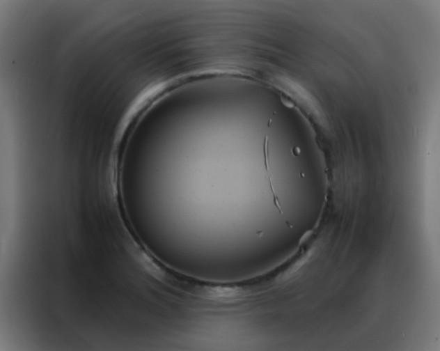 X0000088211180200705221737