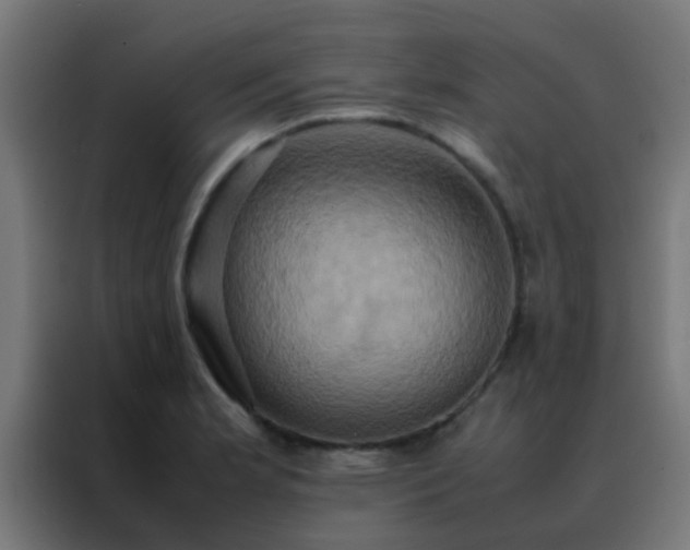 X0000088211181200705221737