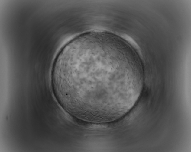 X0000088211183200705221737
