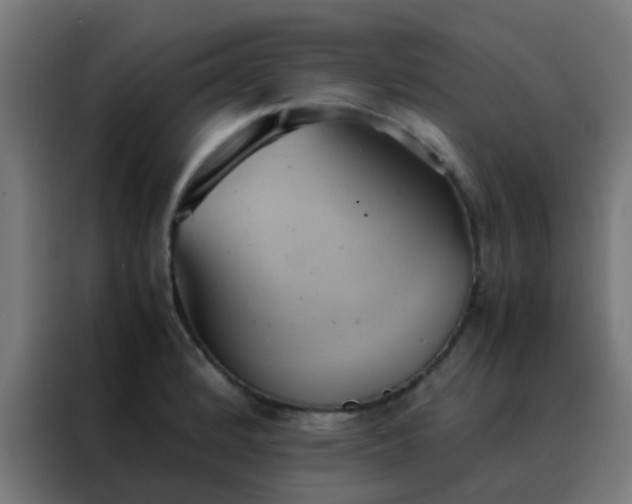 X0000088211184200705221737