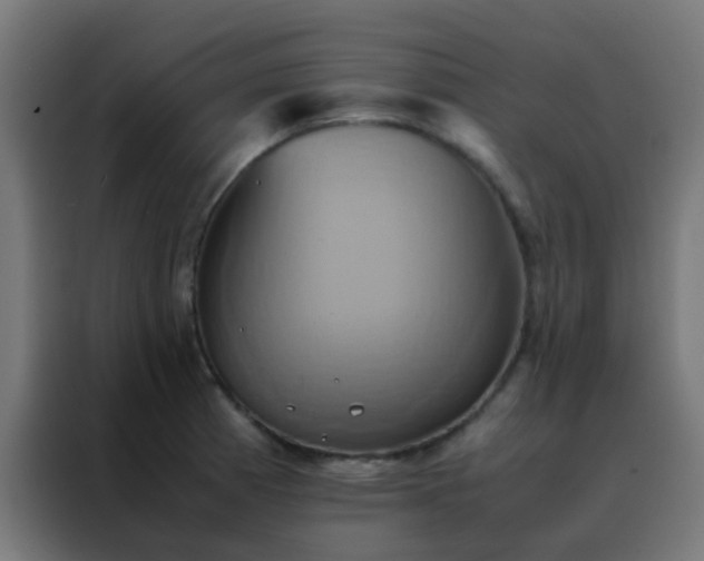 X0000088211185200705221737