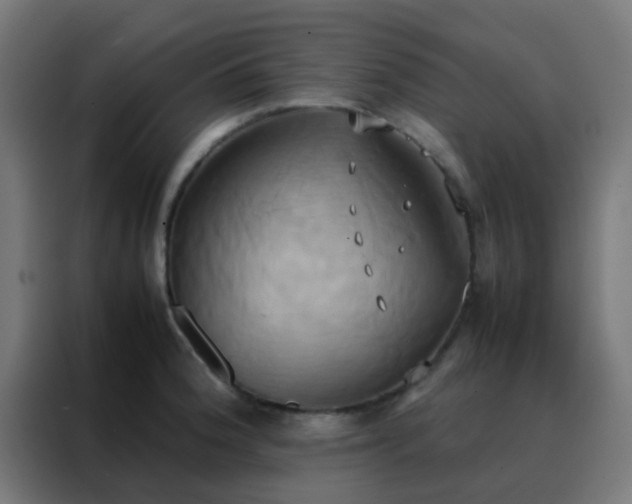 X0000088211188200705221737