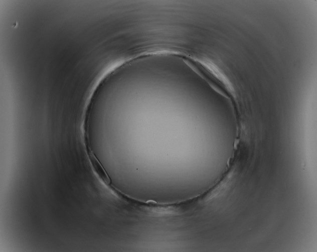 X0000088211189200705221737