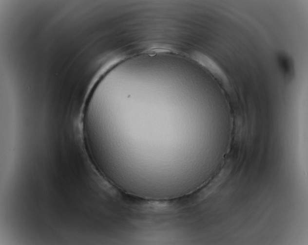 X0000088211190200705221737