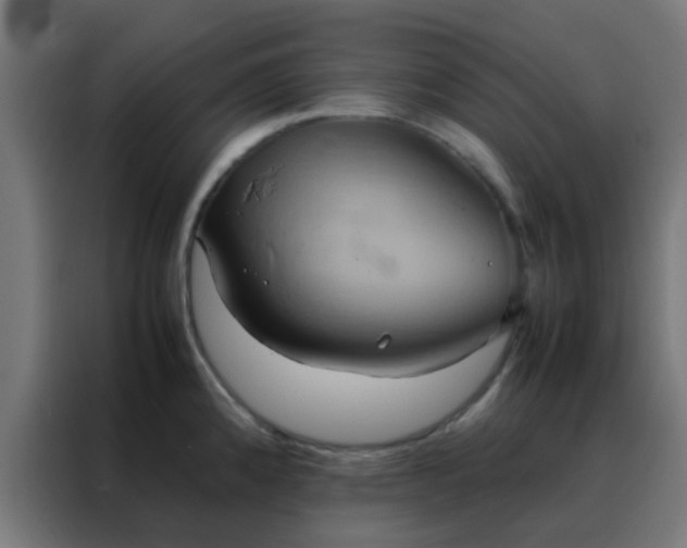 X0000088211192200705221737