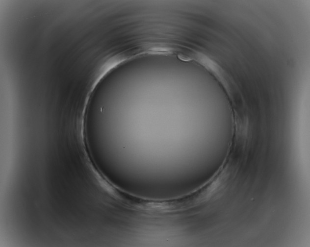 X0000088211194200705221737