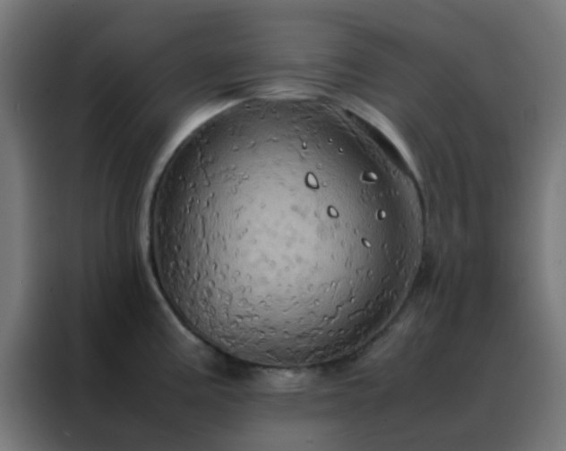 X0000088211195200705221737