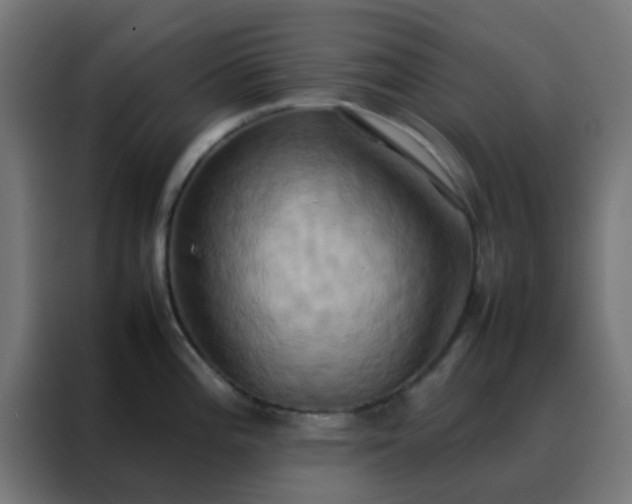 X0000088211196200705221737