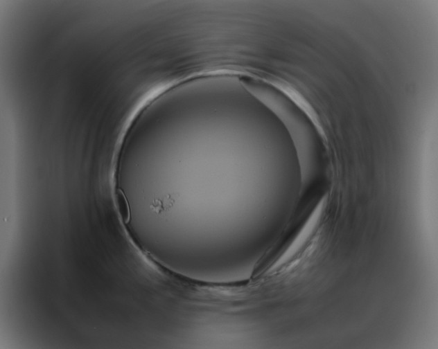 X0000088211197200705221737