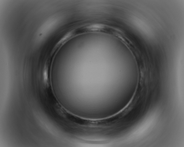 X0000088211198200705221737